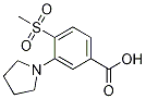 4-(甲基磺酰基)-3-(1-吡咯烷)苯甲酸结构式_1000018-48-3结构式