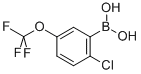 2-Chloro-5-trifluoromethoxyphenylboronic acid Structure,1022922-16-2Structure