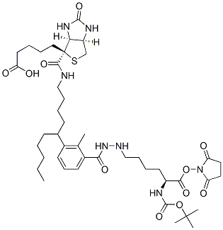 2,5-二氧代-1-吡咯烷基N<sup>2</sup>-{[(2-甲基-2-丙基)氧基]羰基}-N<sup>6</sup>-[6-({5-[(4S)-2-氧代六氢-1H-噻吩并[3,4-d]咪唑-4-基]戊酰}氨基)己酰]-L-赖氨酸酯结构式_102910-27-0结构式