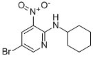 5-溴-2-环己基氨基-3-硝基吡啶结构式_1033202-38-8结构式