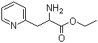 2-氨基-3-吡啶-2-丙酸乙酯结构式_103394-76-9结构式