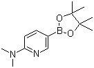 2-Pyridinamine, N,N-dimethyl-5-(4,4,5,5-tetramethyl-1,3,2-dioxaborolan-2-yl)- Structure,1036991-24-8Structure