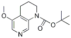 Tert-butyl 5-methoxy-3,4-dihydro-1,7-naphthyridine-1(2h)-carboxylate Structure,1045855-19-3Structure