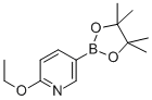 Pyridine, 2-ethoxy-5-(4,4,5,5-tetramethyl-1,3,2-dioxaborolan-2-yl)- Structure,1072945-01-7Structure