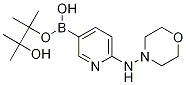 4-Morpholinamine, N-[5-(4,4,5,5-tetramethyl-1,3,2-dioxaborolan-2-yl)-2-pyridinyl]- Structure,1073354-38-7Structure