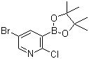 5-溴-2-氯-3-(4,4,5,5-四甲基-1,3,2-二氧硼烷)-吡啶结构式_1073354-79-6结构式