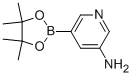 5-Aminopyridine-3-boronic acid, pinacol ester Structure,1073354-99-0Structure