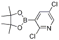 Pyridine, 2,5-dichloro-3-(4,4,5,5-tetramethyl-1,3,2-dioxaborolan-2-yl)- Structure,1073371-98-8Structure