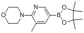 Morpholine, 4-[3-methyl-5-(4,4,5,5-tetramethyl-1,3,2-dioxaborolan-2-yl)-2-pyridinyl]- Structure,1073372-03-8Structure