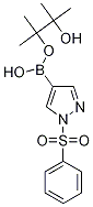 1H-Pyrazole, 1-(phenylsulfonyl)-4-(4,4,5,5-tetramethyl-1,3,2-dioxaborolan-2-yl)- Structure,1073372-04-9Structure