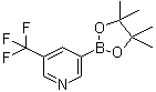5-三氟甲基吡啶-3-硼酸频那醇酯结构式_1084953-47-8结构式