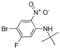 5-溴-2-(t-丁基氨基)-4-氟-1-硝基苯结构式_1150114-26-3结构式