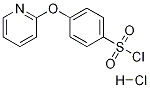 4-(2-吡啶氧基)苯磺酰氯盐酸盐结构式_1170110-04-9结构式