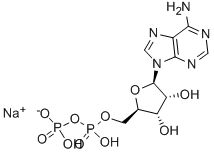 二磷酸腺肝钠盐结构式_1172-42-5结构式