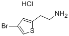 4-溴-2-噻吩乙胺盐酸盐结构式_1172469-40-7结构式