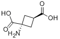 1-氨基环丁烷-1,3-顺式二羧酸结构式_117488-23-0结构式
