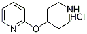 2-(哌啶-4-基氧基)-吡啶盐酸盐结构式_1185308-16-0结构式