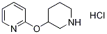 2-(哌啶-3-基氧基)-吡啶盐酸盐结构式_1185310-55-7结构式