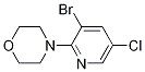 3-Bromo-5-chloro-2-morpholinopyridine Structure,1199773-36-8Structure