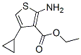 2-氨基-4-环丙基噻吩-3-羧酸乙酯结构式_120109-75-3结构式