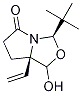 (3R,7ar)-3-(1,1-二甲基乙基)-7a-乙烯四氢-1-羟基-3h,5h-吡咯并[1,2-c]噁唑-5-酮结构式_1214741-21-5结构式