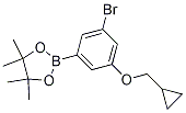 3-溴-5-(环丙基甲氧基)苯硼酸频那醇酯结构式_1218789-49-1结构式