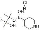哌啶-4-硼酸频那醇酯盐酸盐结构式_1218790-99-8结构式