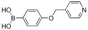 4-(吡啶-4-基甲氧基)苯硼酸结构式_1228181-39-2结构式