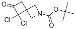 5,5-二氯-6-氧代-2-氮杂螺[3.3]庚烷-2-羧酸叔丁酯结构式_1239320-10-5结构式