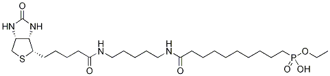 10-乙氧基亚膦酰-N-生物素酰胺基戊基癸烷酰胺结构式_1246814-63-0结构式