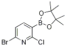 6-溴-2-氯-3-(4,4,5,5-四甲基-1,3,2-二噁硼烷-2-基)吡啶结构式_1247726-85-7结构式