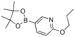 2-正丙基-5-吡啶硼酸酯结构式_1257553-85-7结构式