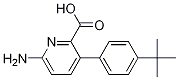 6-氨基-3-(4-t-丁基 苯基)甲酸吡啶结构式_1261913-25-0结构式