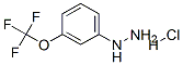 3-Trifluoromethoxyphenylhydrazine Structure,133115-55-6Structure