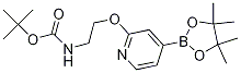 Tert-butyl (2-((4-(4,4,5,5-tetramethyl-1,3,2-dioxaborolan-2-yl)pyridin-2-yl)oxy)ethyl)carbamate Structure,1346697-27-5Structure