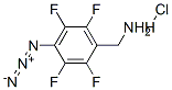 4-叠氮基-2,3,5,6-四氟苄胺盐酸盐结构式_139428-47-0结构式
