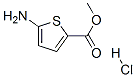 5-氨基噻吩-2-羧酸甲酯盐酸盐结构式_14597-57-0结构式