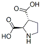 (9ci)-(2r,3r)-2,3-吡咯烷二羧酸结构式_147332-08-9结构式