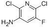3-氨基-2,6-二氯-5-氟吡啶结构式_152840-65-8结构式