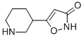 5-(3-哌啶基)-3(2H)-异噁唑酮结构式_153745-69-8结构式