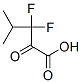 3,3-二氟-4-甲基-2-氧代戊酸结构式_165544-39-8结构式
