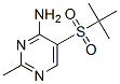 5-(Tert-butylsulfonyl)-2-methylpyrimidin-4-amine Structure,175201-85-1Structure