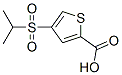 4-(Isopropylsulfonyl)thiophene-2-carboxylic acid Structure,175202-46-7Structure