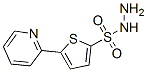 5-(2-吡啶基)噻吩-2-磺酰肼结构式_175202-74-1结构式