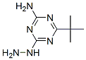 2-氨基-4-叔丁基-6-肼基-S-三嗪结构式_175204-78-1结构式