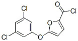 5-(3,5-Dichlorophenoxy)furan-2-carbonyl chloride Structure,175277-07-3Structure