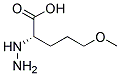 (s)-(9ci)-2-肼基-5-甲氧基-戊酸结构式_179746-89-5结构式