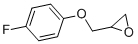 2-[(4-氟苯氧基)甲基]环氧乙烷结构式_18123-82-5结构式