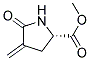 L-proline, 4-methylene-5-oxo-, methyl ester (9ci) Structure,182073-75-2Structure