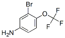 3-Bromo-4-(trifluoromethoxy)aniline Structure,191602-54-7Structure